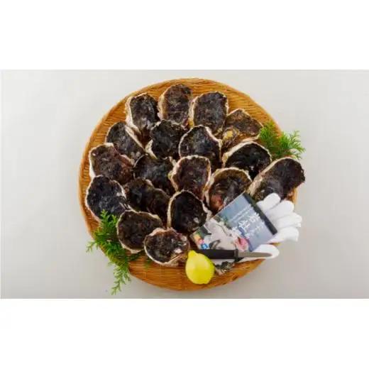 かき【 岩牡蠣 】九十九島岩かき 産地直送 生食可 A162 