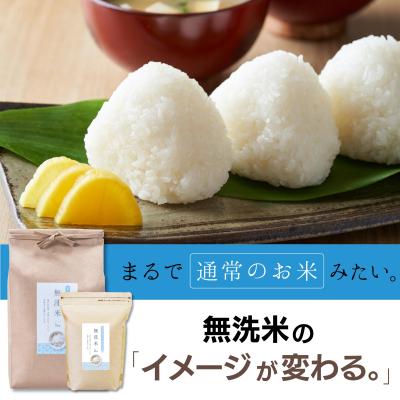 ふるさと納税 東広島市 【定期便】 2kg 6ヵ月連続お届け 計12kg 広島県産 無洗米お米マイスター厳選 |  | 02