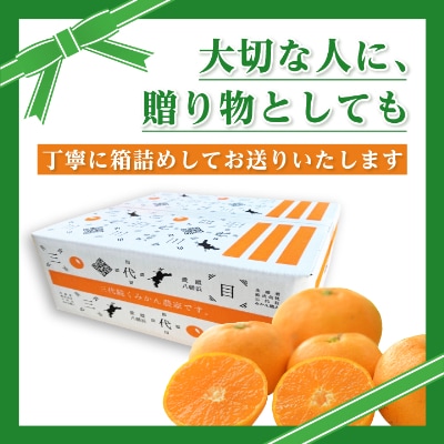 三代目がつくる高品質【頂みかん】5kg【C31−16】【1042516】