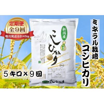 ふるさと納税 阿賀野市 【令和7年産】【9回定期便 】ミネラル栽培こしひかり 5kg×9回 計45kg 井上米穀店