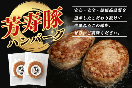 お肉屋さんが作った 国産 生ハンバーグ 2.4kg (120g×20個) 芳寿豚 ハンバーグ B-783