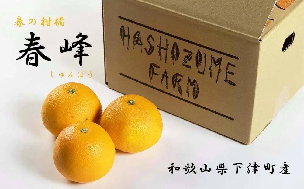 春峰(しゅんぽう) 和歌山県産 3kg 赤秀【2027年先行予約】