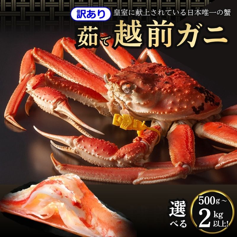 【ふるさと納税】【訳アリ商品】かに 訳あり 期間限定 茹で 越前ガニ 500g～2kg以上 ボイルカニ ボイル 魚介類　お届け：2026年11月10日～2027年3月31日（年末年始を除く）