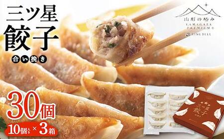 【山形の極み】合い挽き三ツ星餃子 210g（10個入り）×3箱 F2Y-5950