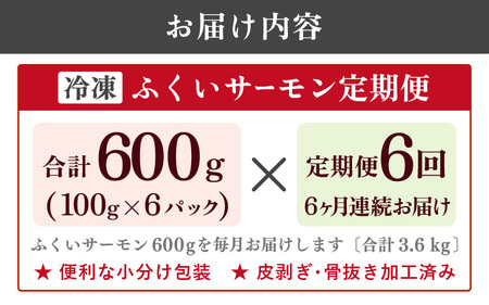 【6ヶ月連続お届け】ふくいサーモン 600g (刺身用) 真空冷凍 100g× 6パック × 6回【サーモン 鮭 刺身 さけ サケ さかな 魚 人気 海鮮 海鮮食品 小分け お刺身用 生食用 生食可 