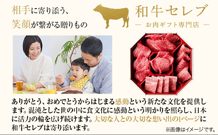 【和牛セレブ】 鳥取和牛 定期便 プラチナクラス 全6回 6ヶ月『和牛セレブ｜お肉ギフト専門店』《お申込み月の翌月から発送》鳥取県 八頭町 和牛 牛 牛肉 国産 黒毛和牛 和牛セレブ しゃぶしゃぶ 焼