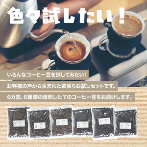 [豆]コーヒー豆 100g×6種類セット 合計600g 注文後焙煎 