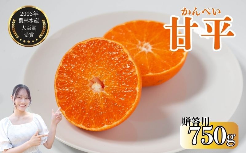 
            数量限定 贈答用 甘平 約750g みかん 蜜柑 柑橘 果物 フルーツ 高級 人気 糖度 ビタミン 健康 美容 ブランド 国産 減農薬  除草剤不使用 有機肥料使用 プレゼント 贈答 ギフト 愛媛県 愛南町  吉本農園 送料無料 発送期間:2026年2月～なくなり次第
          