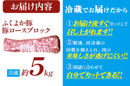 ふくよか豚ロースブロック約5kg 豚ロースブロック 豚ロースブロック肉 豚ロース ブロック肉 塊肉 豚肉 ブタ肉 豚 肉 ふくよか豚 焼肉 ステーキ とんかつ しゃぶしゃぶ 冷蔵 福岡県 福岡 九州 