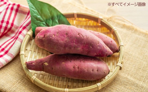 さつまいも（紅はるか）5kg 愛媛県大洲市/たいき産直市愛たい菜 [AGAP020] さつまいも 5kg 紅はるか 5kg べにはるか 焼き芋 やきいも 干し芋 干芋 ほしいも スイートポテト 大学芋 アイス スナック スイーツ デザート ケーキ お菓子作り トッピング サラダ 料理 お菓子作り アレンジ 野菜 根菜 根野菜 旬野菜 常備菜 食材 ストック 備蓄 食品 宅配 人気 おすすめ