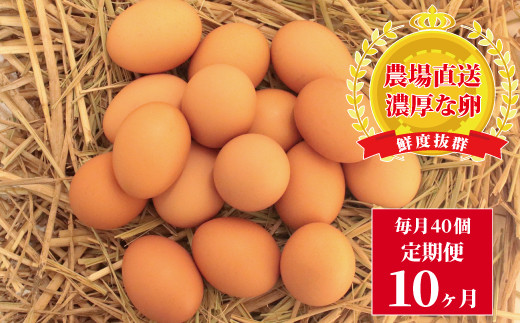
                  たまごのお店 むこたま［農場たまご］Mサイズ 40個入 定期便10ヶ月 [№5412-0098]
                