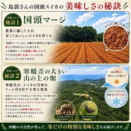 【2027年2月中旬から順次発送】島袋さんの冬スイカ 2玉(1玉3.5～4.5kg)【配送不可地域：離島】【1577666】