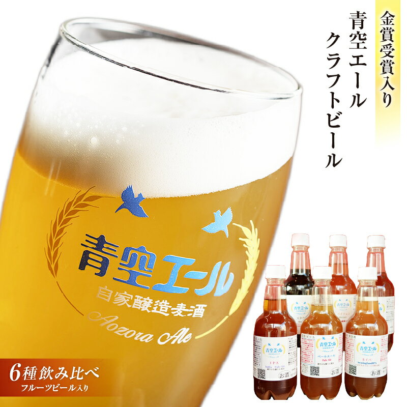 【ふるさと納税】青空エールこだわりのクラフトビール飲み比べ詰め合わせセット〈フルーツビール入り〉6種6本（500mlペットボトル×6本） 青空エール クラフトビール 飲み比べ 詰め合わせ セット フルーツビール お酒 冷蔵 お取り寄せ 宮崎県 宮崎市 送料無料