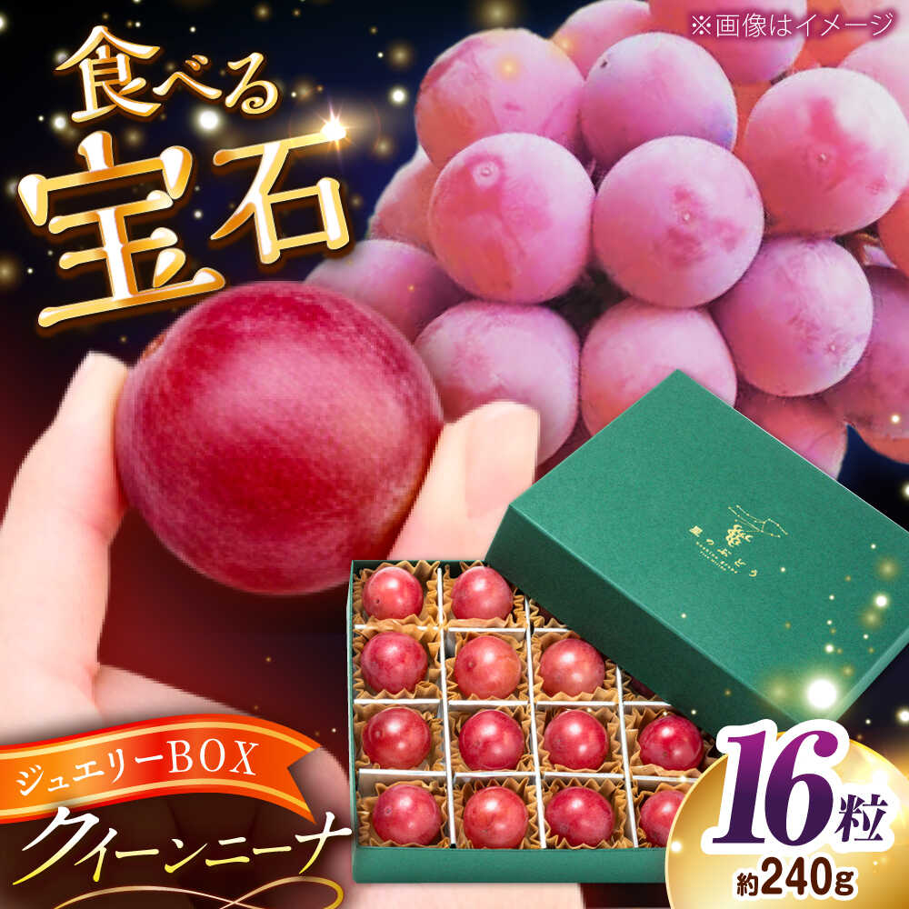 【ふるさと納税】【先行予約：2026年8月中旬より発送】【数量限定】贈り物におすすめ！クイーンニーナ・ジュエリーBOX 16粒(約240g) 高級フルーツ 贈答 ブドウ 島根県雲南市/ギアファーム[AIAB018]
