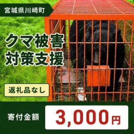 【返礼品なし】クマ被害対策支援(宮城県川崎町) 3,000円