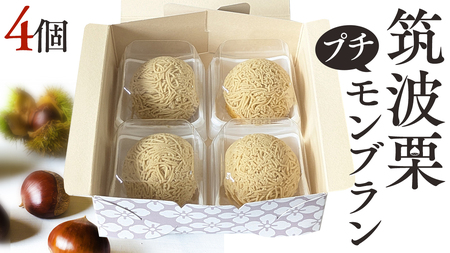 筑波 栗 の プチ モンブラン 約20g × 4個 和栗 和栗ペースト マロン クリーム 菓子 スイーツ オリジナル 洋菓子 和菓子 和スイーツ [EK013sa]
