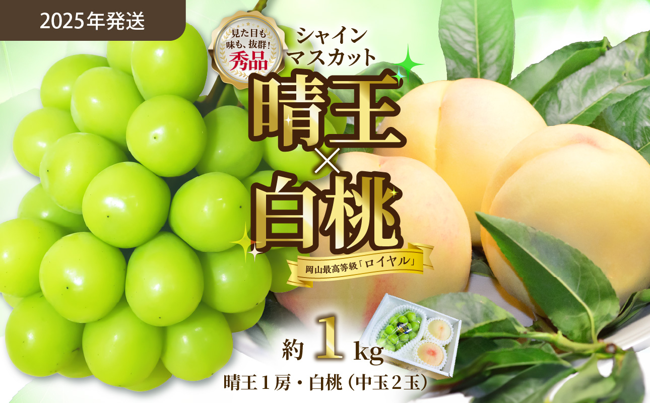 【令和７年発送分】岡山県産 シャインマスカット晴王×白桃 約1kgセット（令和7年7月から8月発送）【 岡山県産 シャインマスカット 秀品 晴王 白桃 ロイヤル 晴れの国おかやま 】