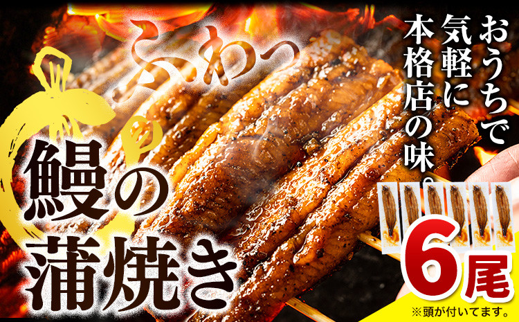 
鰻の蒲焼き 計6尾 合計990g以上 《出荷時期をお選びください》うなぎ 手焼きうなぎうなぎ 鰻 ウナギ 国産 徳島県産 選べる うなぎの蒲焼 蒲焼 蒲焼き たれ ひつまぶし 高級 丑の日 贈り物 ギフト お歳暮 送料無料 徳島県 上板町
