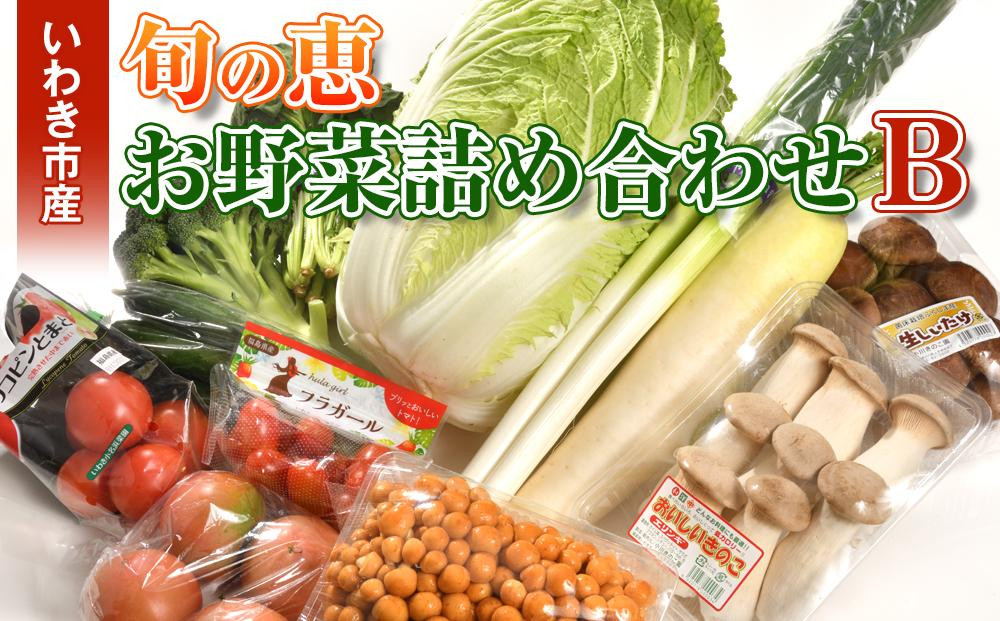 
いわき市産　旬の恵お野菜詰め合わせB
