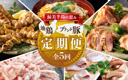 【定期便】ブランド豚・地鶏 定期便 全5回 田原ポーク 名古屋コーチン