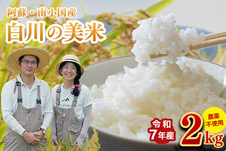 令和7年産 白川の美米 2kg 南小国産 玄米 白米 3分づき 5分づき 7分づき 森のくまさん 精米 米 お米 ご飯 ごはん 無農薬 農薬不使用 自然栽培 産地直送 白川自然農園 熊本 南小国 送料無料