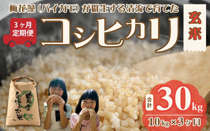 【通常販売】令和8年産 梅花藻が群生する清流で育てたコシヒカリ（玄米 10kg×1袋）3か月定期便 計30kg ※2026年9月10日以降順次発送予定[C-040009]
