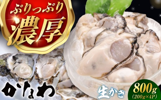 【生牡蠣】 かなわの生牡蠣 むき身200g×4パック 計800g 江田島市／株式会社かなわ [XBP003]｜生牡蠣 牡蠣 生食 むき身 かき カキ 生牡蠣 広島牡蠣 オイスター 冬かき 魚介類 魚介