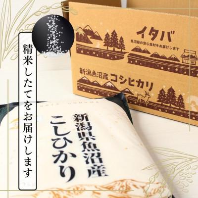 ふるさと納税 十日町市 【毎月定期便】【定期便3回(毎月発送)】魚沼産コシヒカリ(金印)精米 10kg全3回 |  | 02