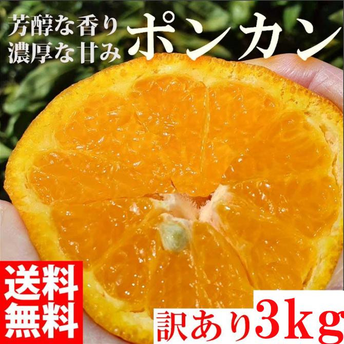 
                  ぽんかん ポンカン 3kg 訳あり 産地直送 オレンジ フルーツ 果物
                