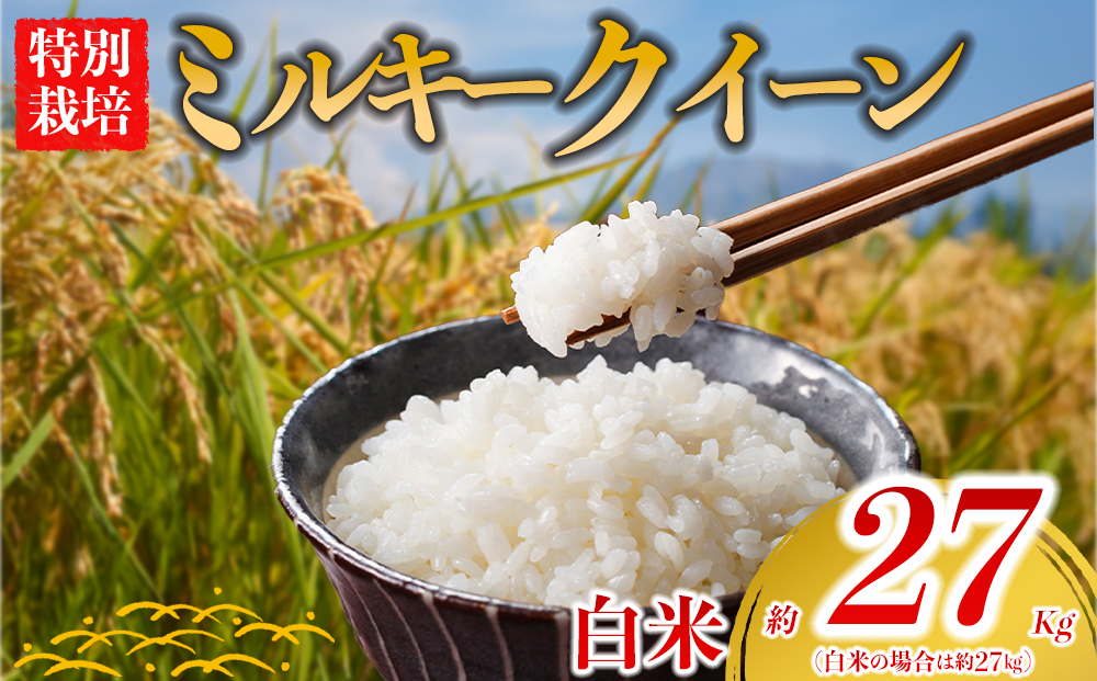 【選べる品種】 特別栽培米 ミルキークイーン 約27kg×1（白米）阿蘇アグロスタイル R7年産 精米 米 ごはん 人気 美味しい みるきーくいーん 甘味 もちもち なめらか 減農薬 湧水 熊本県 阿
