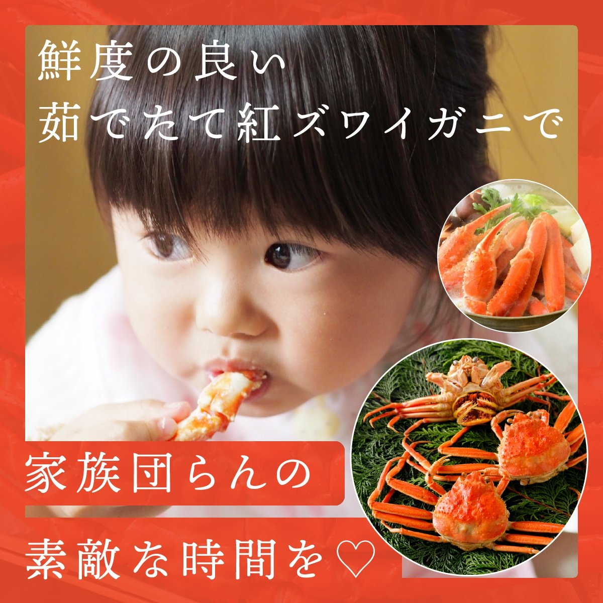 
            【ボイル】紅ズワイガニ3kg（6～7杯）
          