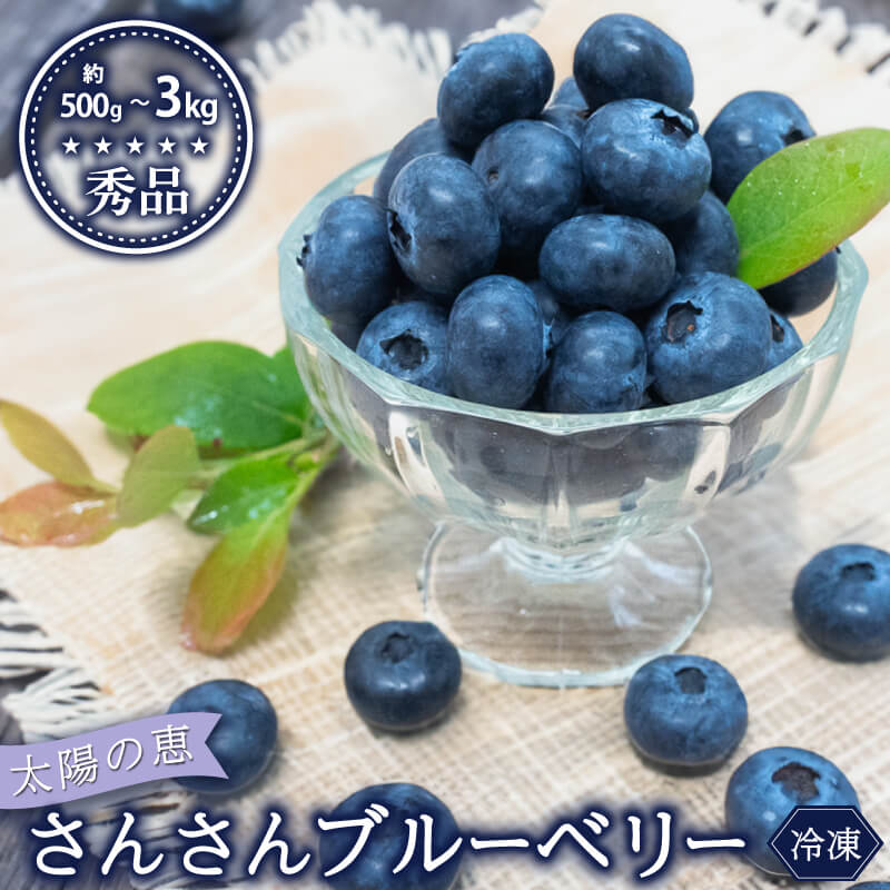 【ふるさと納税】 【早期予約開始 2026年5月末より順次発送】 ブルーベリー 秀品 大粒 選べる 容量 500g 1kg 2kg 3kg 冷凍 健康 食品 果物 フルーツ ベリー おやつ 加工 お菓子 製菓 シャーベット ジャム ソース スムージー におすすめ いちかわファーム 高知県 須崎市