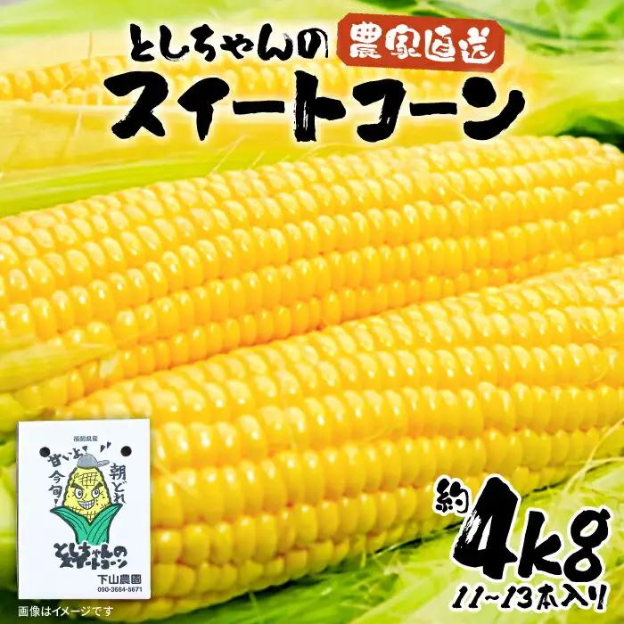 【先行予約】としちゃんのスイートコーン 約4kg 11-13本 VBH001 スイートコーン