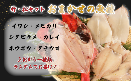 地魚干物セット 金目鯛1尾 イカ2~4枚 おまかせお魚1種 干物