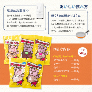 ちょい飲みに最適！食べ切り焼肉「ホルモンマン」セット500g 豚ホルモン 豚肉 焼肉 BBQ ガツナンコツ レバー 白モツ 大トロ 群馬県 渋川市 F4H-0179