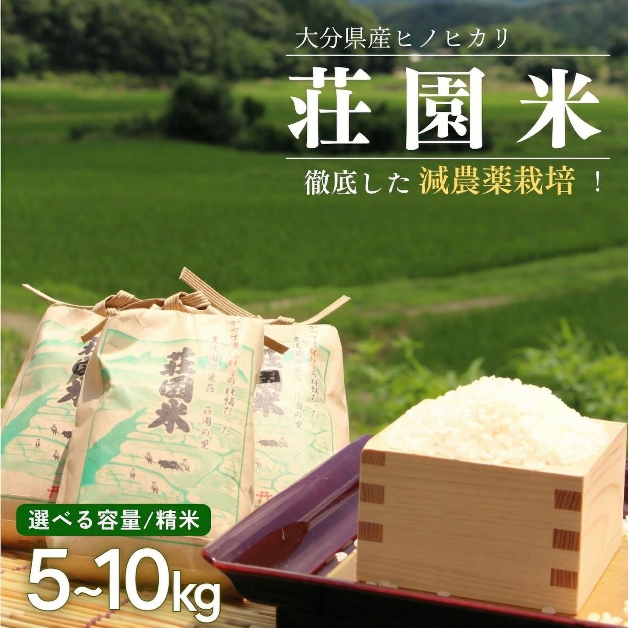 【ふるさと納税】「精米」 ヒノヒカリ 荘園米 5kg 10kg(1袋) 10kg(5kg×2袋) 選べる 容量 5~10kg お米 こめ お米 ひのひかり