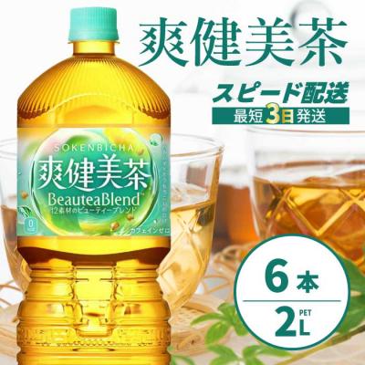 ふるさと納税 三原市 爽健美茶 PET 2L×6本(1ケース) [014-062]
