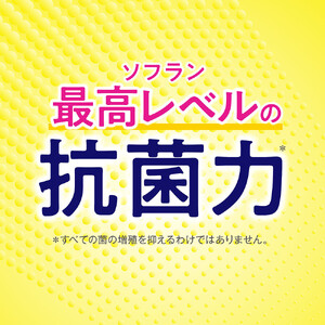 ライオン「お洗濯セット」(PRO替超特大3袋＋ソフランPSソープ替4袋)