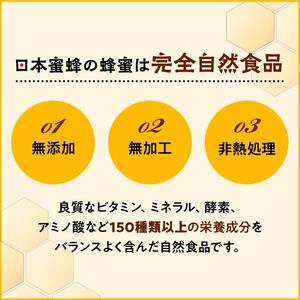 日本蜜蜂のハチミツ100％！はちみつ（1本）  高級 自然食品 無添加 ニホンミツバチ