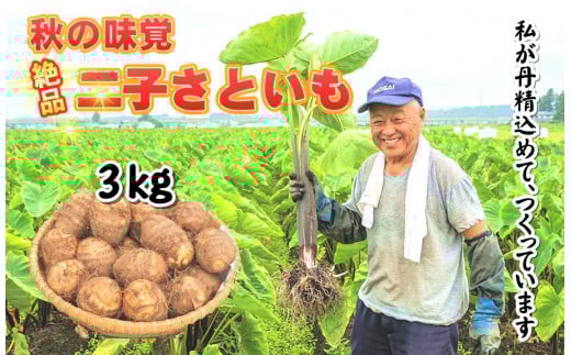 【特産品！数量限定・期間限定】二子さといも　3�L以上！