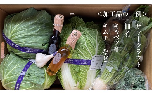 本日のおまかせ 高原野菜 5種以上 の 詰合せ と 加工品 1つ のセット 計10kg おまかせ 野菜 野菜セット 旬の野菜 産地直送 嬬恋キャベツ 加工品 酢 佃煮 漬物 惣菜 [AF028tu]
