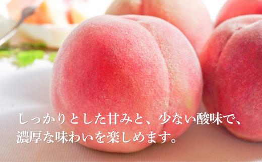 果肉がしっかりしているため、他の品種と比べて日持ちがよく贈答用にも適しています。