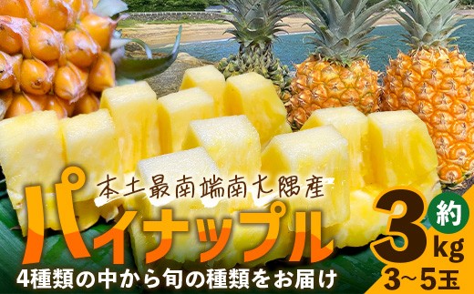 
                  【数量限定！】国産パイナップル　約3ｋg（3～5玉）～なか農園おまかせセット～ NK-001｜パイナップル パイン フルーツ 果物 くだもの 数量限定 産地直送 新鮮 旬 ハワイ種 ピーチパイン ゴールドダイヤモンド ボゴール なか農園 鹿児島県 南大隅 
                