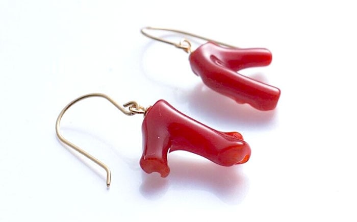 血赤珊瑚枝のアメリカンピアス