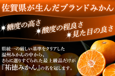 温州みかん 祐徳みかん 約3kg 化粧箱入り 希少 数量限定 《10月下旬～12月頃発送予定》| ブランド 温州みかん 希少 佐賀県 鹿島市 B-100
