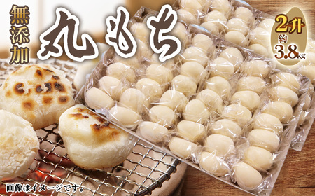 No.519 丸もち2升 ／ モチ 餅 おもち 丸餅 国産 佐賀県産 ヒヨクモチ 無添加 個包装 愛知県