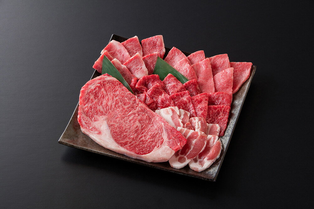 【ふるさと納税】佐賀県産牛・豚　焼肉セット計550g (5種)（DV087）