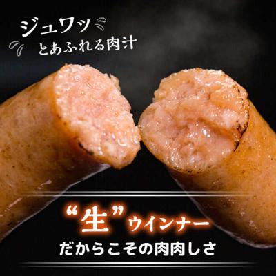 ふるさと納税 糸島市 【全3回定期便】特製 生ハンバーグ 生ハム 生ウインナー 3種セット[AOA029] |  | 02
