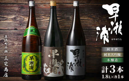 入手困難【早瀬浦】純米大吟醸 1800ml ＆ 純米酒 1800ml ＆ 本醸造 1800ml × 各1本ずつ セット【飲み比べ 日本酒 地酒 福井 美浜 早瀬 フルーティ 男酒 硬水 ミネラル 希少