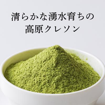 ふるさと納税 高原町 無添加 高原町産クレソンパウダー1袋(100g)[国産 微粉末] TF794 |  | 01